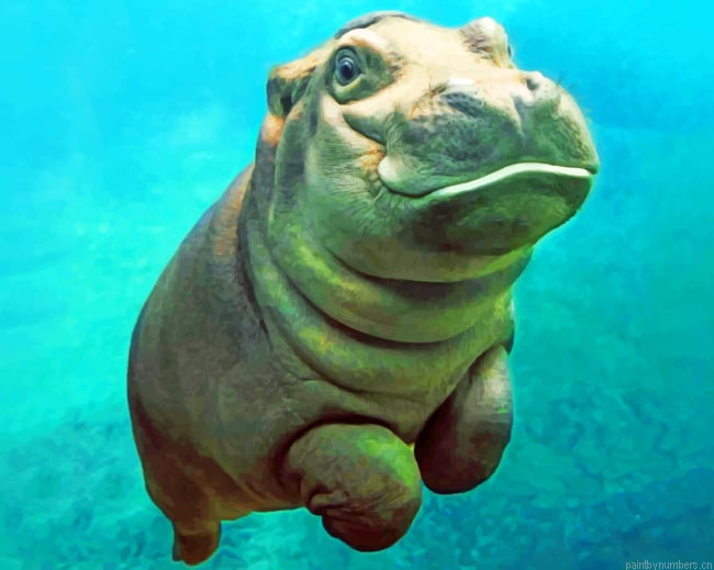 Swimming Hippo Animals Painting By Numbers.png