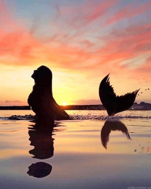 Swimming Mermaid Silhouette Painting By Numberss.png