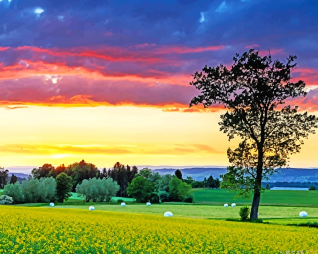 Switzerland Fields Nature Painting By Numberss.png