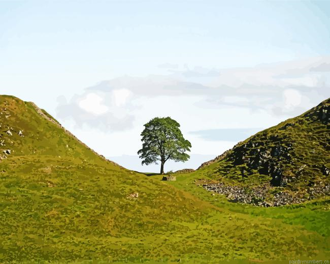 Sycamore Gap Painting By Numberss.png