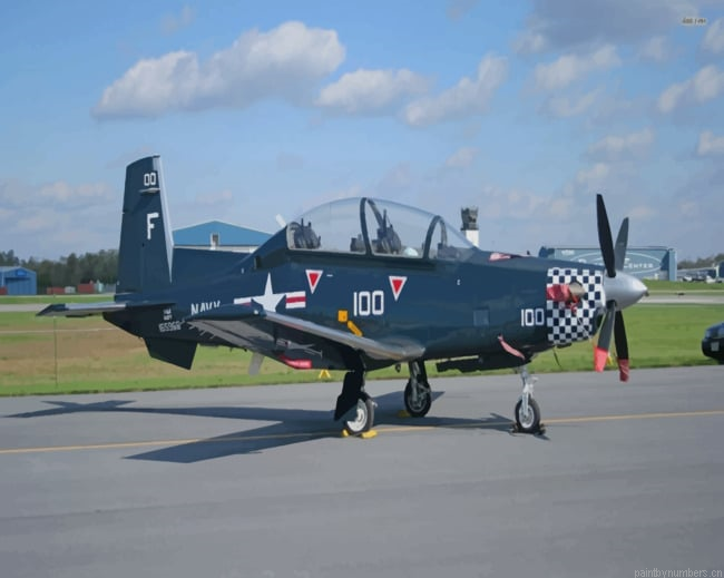 T6 Texan Jet Aircraft Painting By Numberss.png