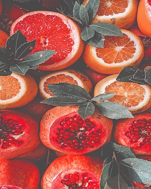 Tangerine Fruit Food Painting By Numbers.png