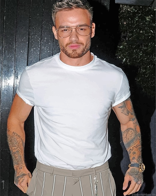 Tattooed Liam Payne Singers Painting By Numbers.png