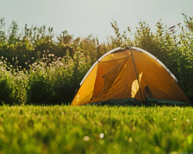 Tent At Fields Edge Nature Painting By Numberss.png