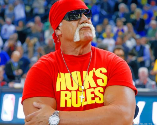 Terry Eugene Bollea Hulk Painting By Numbers.png