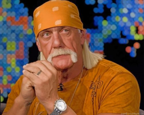 Terry Eugene Bollea Painting By Numbers.png