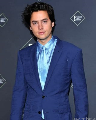 The Actor Cole Sprouse Painting By Numbers.png