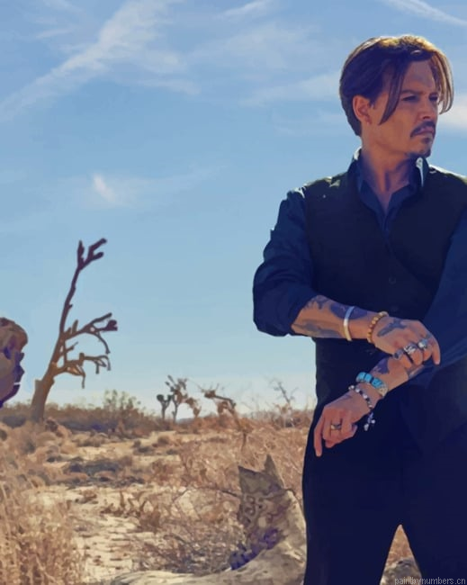 The Actor Johnny Deep Painting By Numberss.png