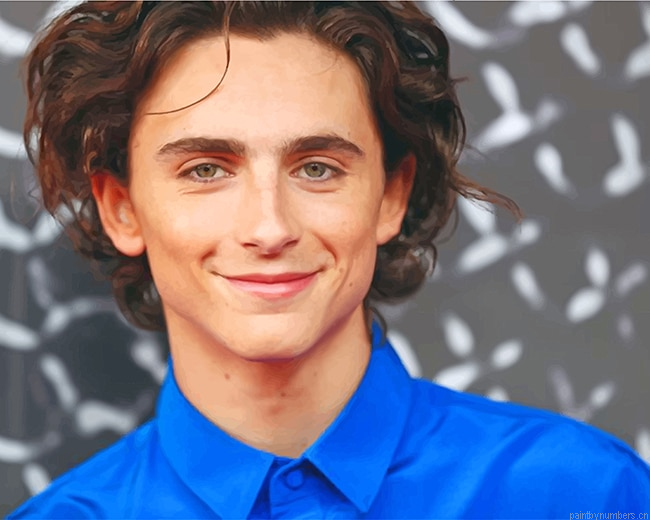 The Actor Timothee Chalamet Painting By Numbers.png