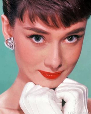 The Beautiful Audrey Hepburn Painting By Numbers.png