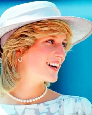 The Beautiful Lady Diana Painting By Numberss.png