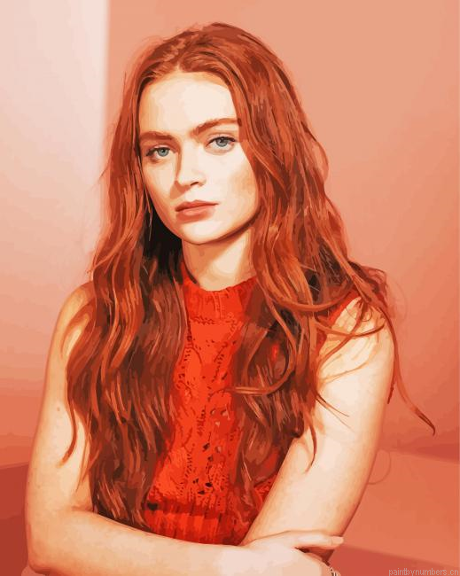 The Beautiful Sadie Sink Painting By Numberss.png