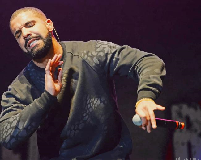 The Canadian Rapper Drake Painting By Numberss.png