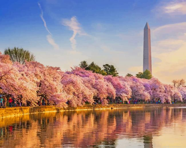 The Cherry Blossoms In Dc Usa Landscapes Painting By Numberss.png