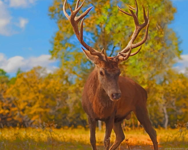 The Crown Prince Deer Animals Painting By Numberss.png