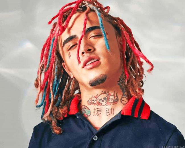 The Famous Singer Lil Pump New Painting By Numberss.png