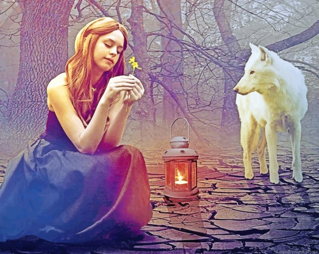 The Girl And The Wolf Painting By Numbers.png