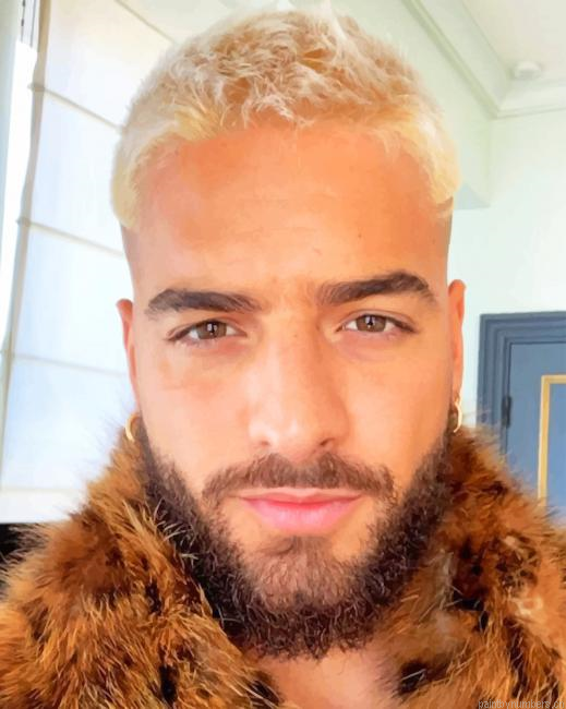 The Handsome Maluma Singer Painting By Numberss.png