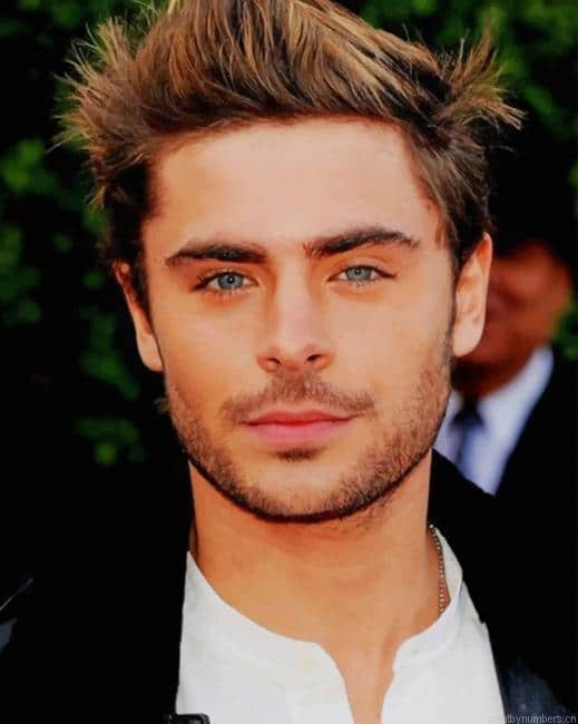 The Handsome Zac Efron Actors Painting By Numberss.png