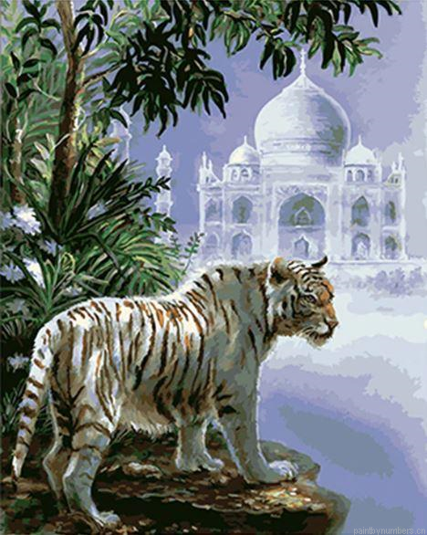 The Indian White Tiger Painting By Numberss.png