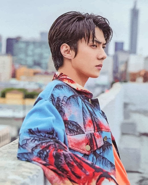 The Korean Idol Oh Sehun Rappers Painting By Numberss.png