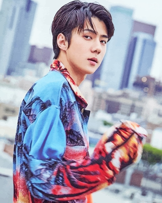 The Korean Sehun Rappers Painting By Numberss.png