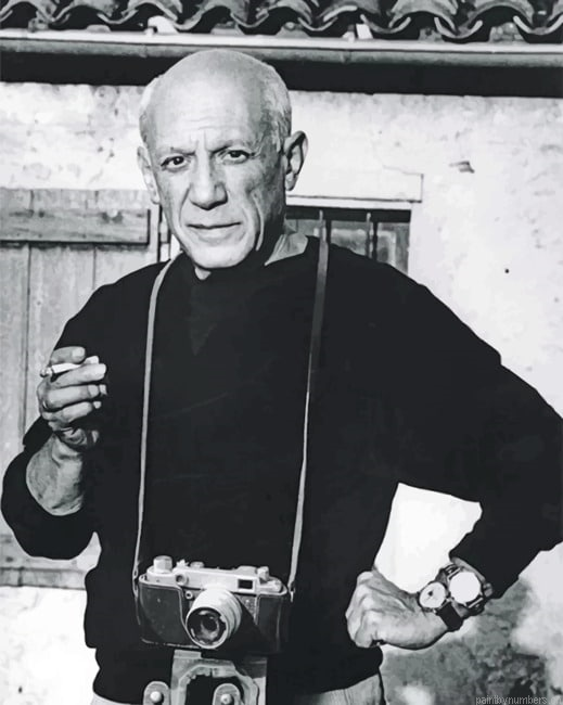 The Legend Pablo Picasso Painting By Numberss.png