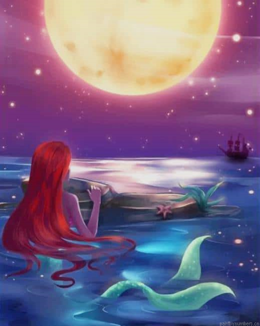 The Little Mermaid Watching The Moon Painting By Numbers.png