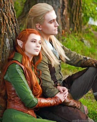The Lord Of The Rings Couple Painting By Numberss.png