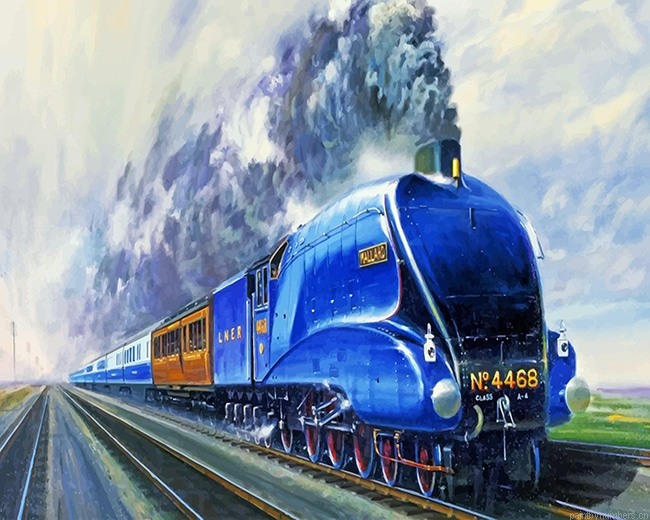 The Mallard Liner Train Engines Painting By Numberss.png