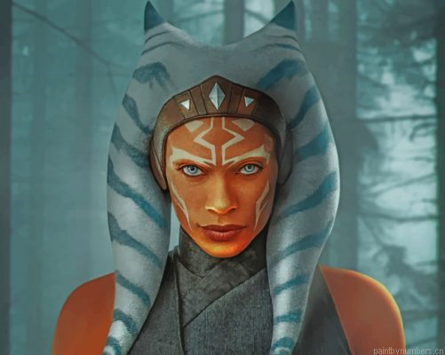 The Mandalorian Ahsoka Tano Painting By Numbers.png