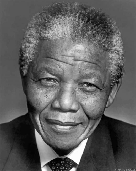 The President Nelson Mandela Painting By Numberss.png