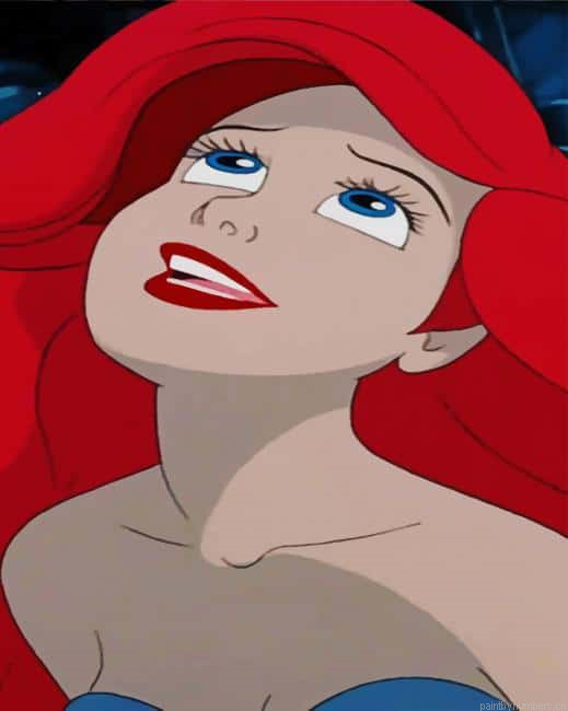 The Princess Ariel Animations Painting By Numberss.png