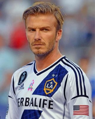 The Professionl Footballer Beckham Painting By Numbers.png