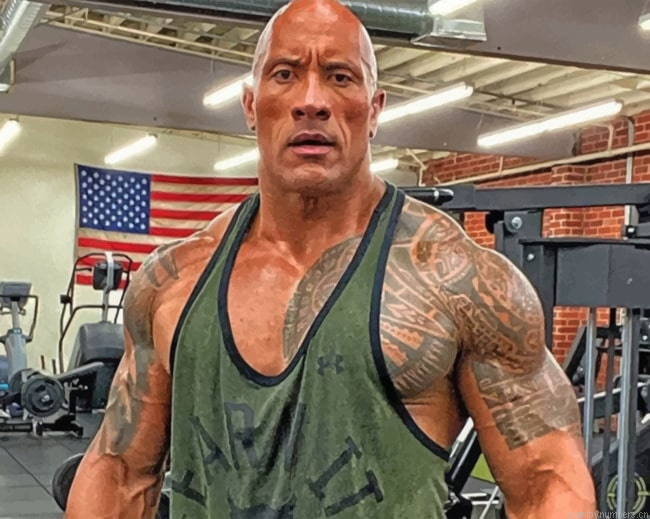 The Rock In A Gym Actors Painting By Numberss.png