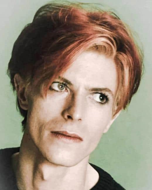 The Singer David Bowie Painting By Numberss.png
