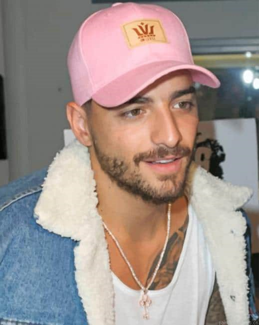 The Singer Maluma Painting By Numberss.png
