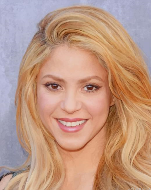 The Singer Shakira Painting By Numberss.png