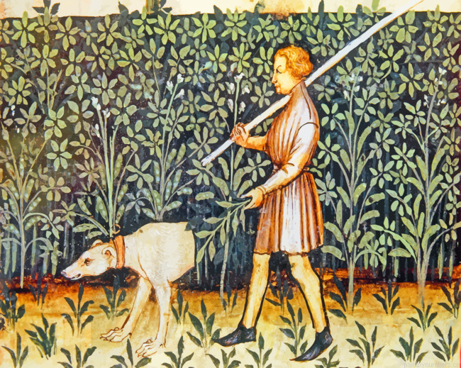 The World Of Medieval Dogdom Painting By Numberss.png