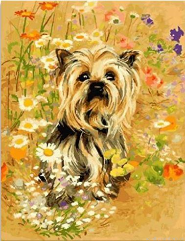 The Yorkshire Terrier Dog Painting By Numberss.png
