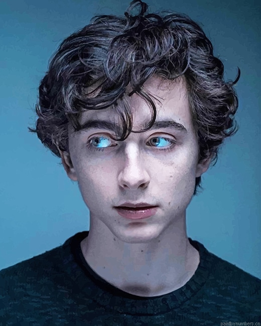 The Young Actor Timothee Chalamet Painting By Numberss.png