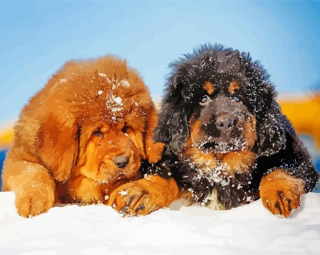 Tibetan Mastiff Dogs Painting By Numberss.png