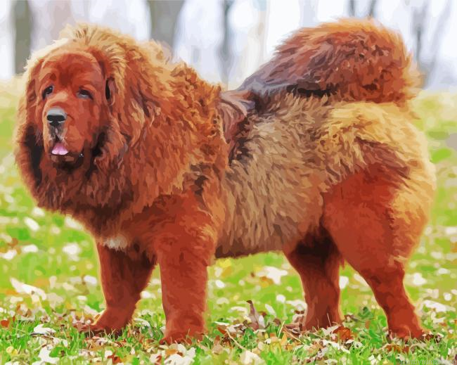 Tibetan Mastiff Painting By Numberss.png