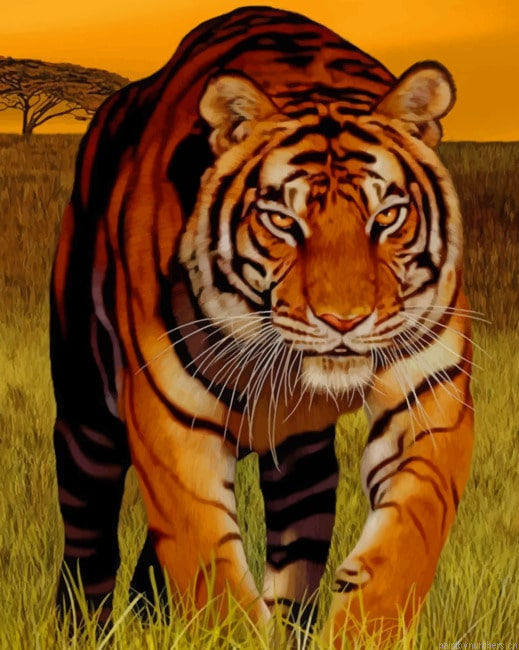 Tiger At The Sunset Animals Painting By Numberss.png