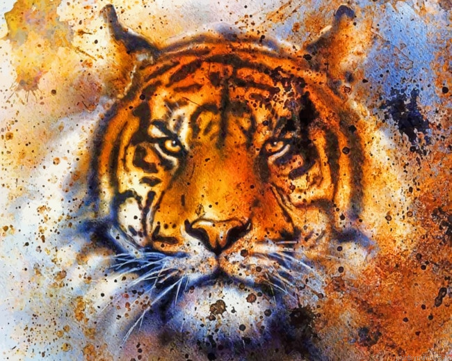Tiger Head Animals Painting By Numbers.png