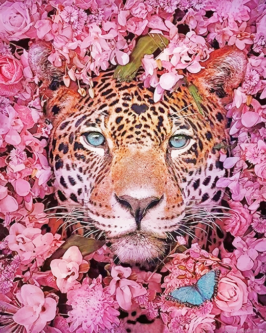 Tiger Pink Flowers Painting By Numberss.png
