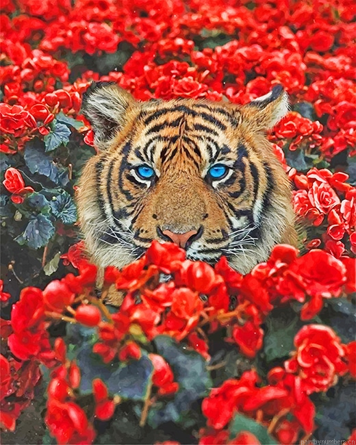 Tiger Red Flowers Animals Painting By Numberss.png