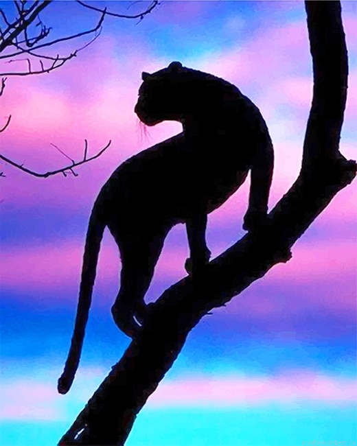 Tiger Silhouette Animals Painting By Numbers.png