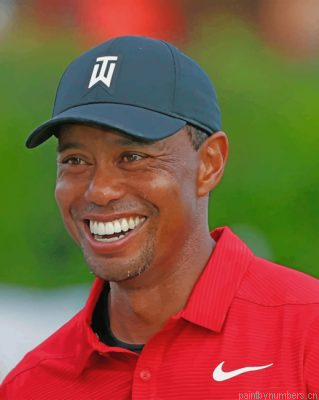 Tiger Woods Golfer Painting By Numbers.png