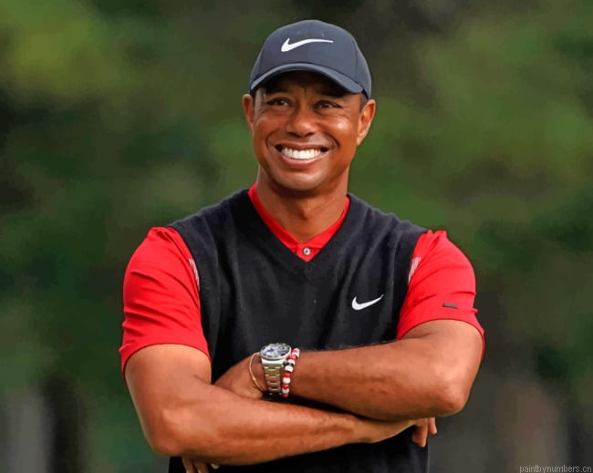 Tiger Woods Player Painting By Numbers.png